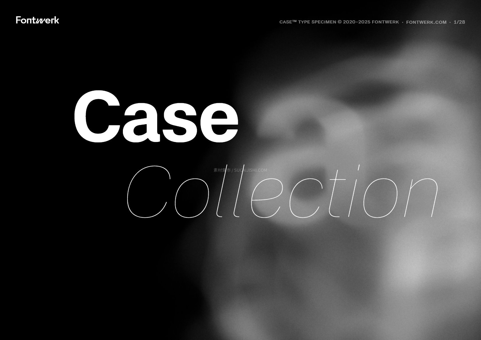 Case Superfamily 现代无衬线字体家族